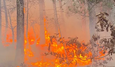Bijelo Polje: Požar na Obrovu, vatra za sad pod kontrolom