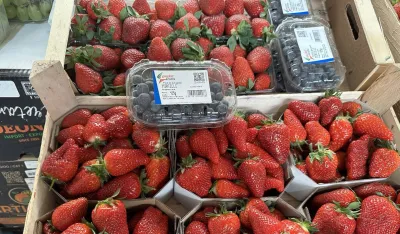 Na piјaci u Ginta&scaron;u pet eura 125 grama borovnica