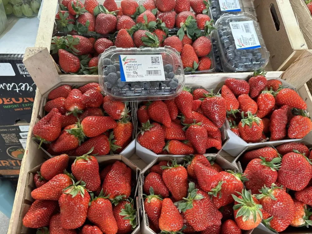 Na piјaci u Ginta&scaron;u pet eura 125 grama borovnica