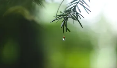 (VIDEO) Tokom noći ki&scaron;a, a ujutro razvedravanje