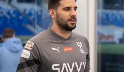 Aleksandar Mitrović 