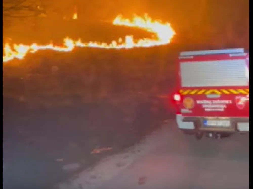 Bijelo Polje: Lokalizovani požari, vatra prijetila kućama i &scaron;kolama