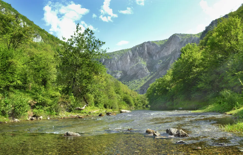Ćehotina u kanjonu ispod sela Rabitlje