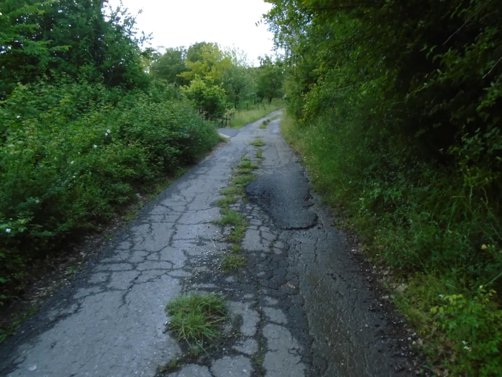 Zečević: Danas počinju pripremni radovi u Piperima