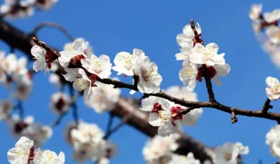 Ovogodi&scaron;nji mart bio najtopliji u istoriji mjerenja