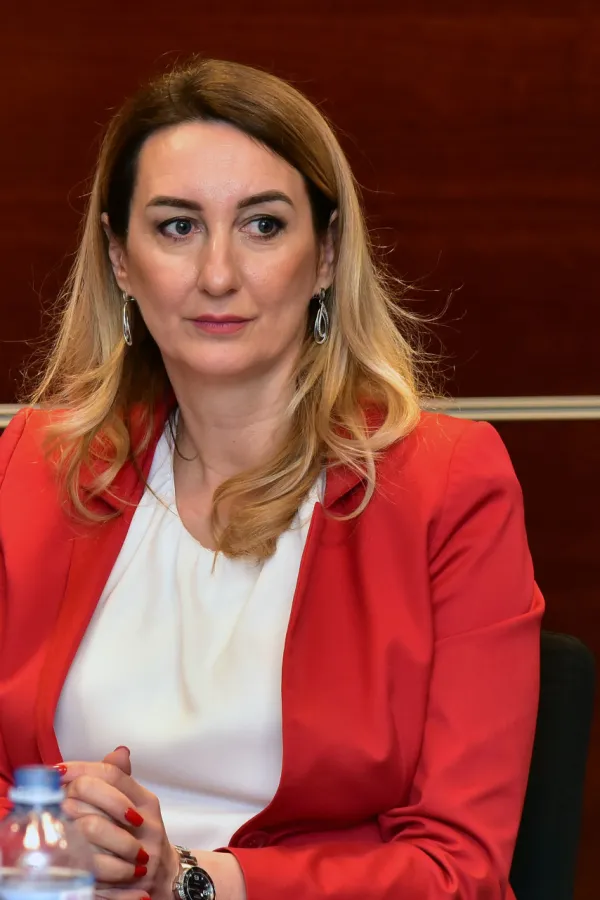 Perović: Dikriminisana sam samo zato jer sam direktorica ASK-a