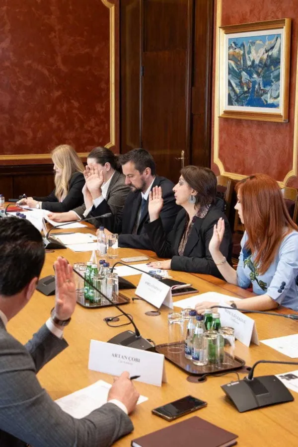Komisija za praćenje postupka privatizacije&nbsp;kontrolisaće Vektru &bdquo;Boka&rdquo;, Meljine i Institut