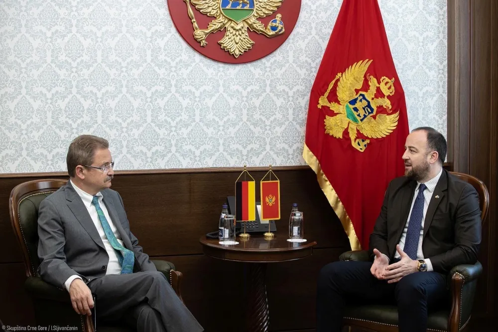 Nikolić - Felten: Uslov napredovanja ka EU je&nbsp;da se vlast prilagođava evropskoj praksi, a&nbsp;ne interesima partije