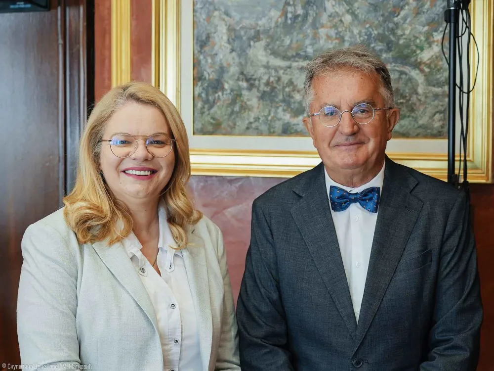 Rodić saop&scaron;tio Vukićević da cijeni njen principijelni stav na glasanju u Savjetu Evrope