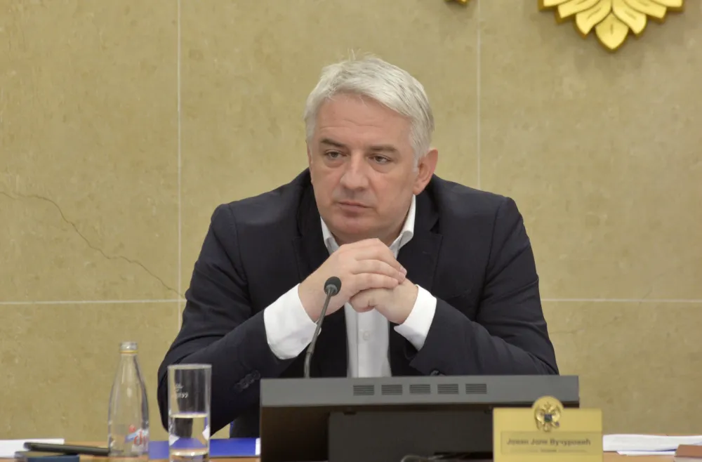 Vučurović izabran za predsjednika Izvr&scaron;nog odbora NSD-a