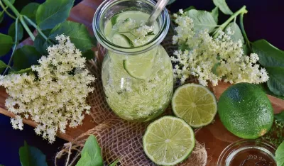Starinski recept za sok od zove