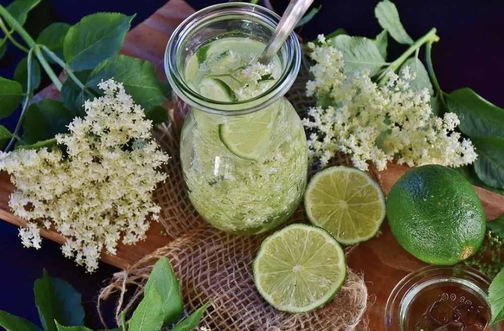 Starinski recept za sok od zove