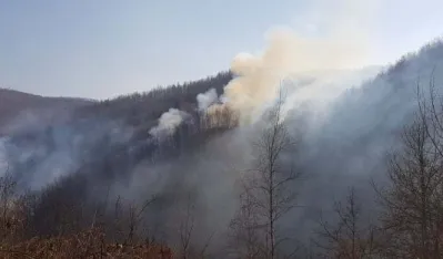 OB Bijelo Polje radi&nbsp;na otkrivanju lica koja su izazvala &scaron;umske požare: Primljeno 16 prijava građana