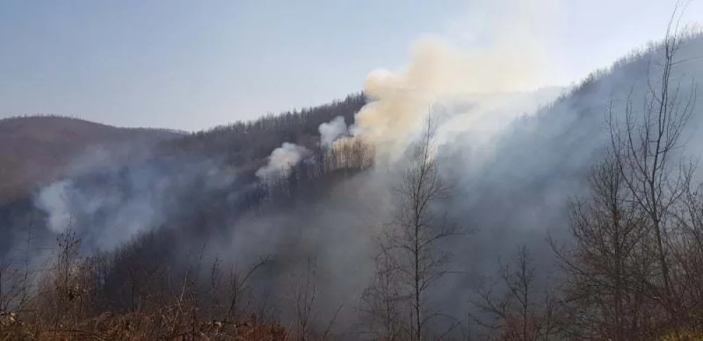 OB Bijelo Polje radi&nbsp;na otkrivanju lica koja su izazvala &scaron;umske požare: Primljeno 16 prijava građana