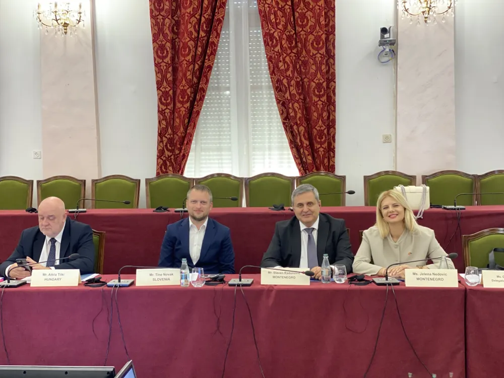 Radunović i Nedović&nbsp;na međuparlamentarnom forumu u Tirani