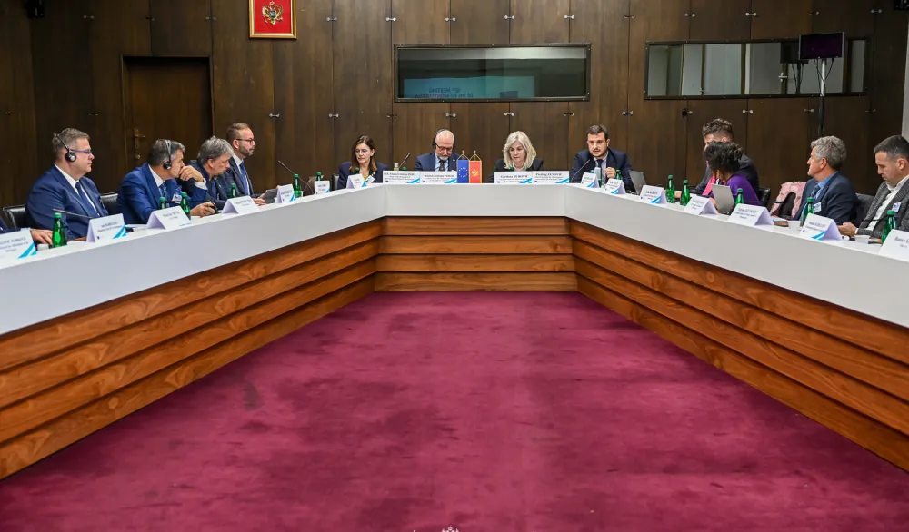 Zajednički konsultativni odbor EU i Crne Gore