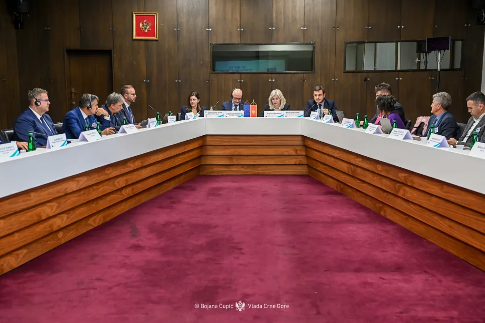 Zajednički konsultativni odbor EU i Crne Gore