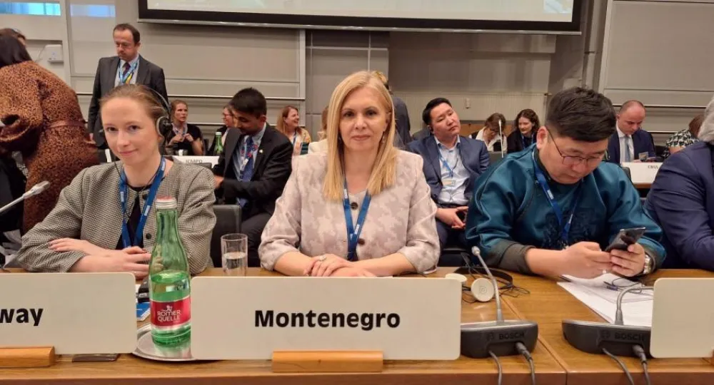 Tijana &Scaron;uković na 24. konferenciji Alijanse u borbi protiv trgovine ljudima u Beču