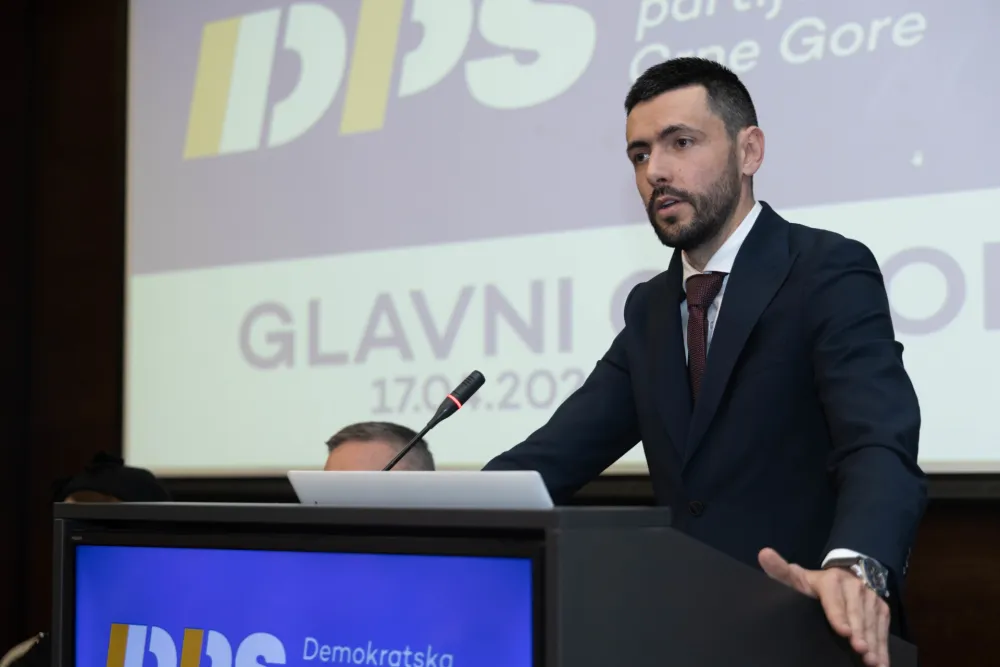 GO DPS: Potvđeni mandati novoizabranim predsjednicima op&scaron;tinskih odbora
