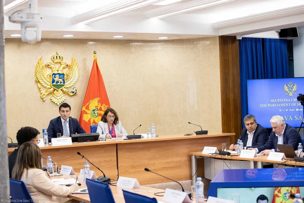 Clanovi odbora za politicki sistem