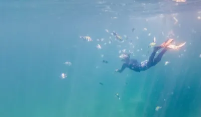 (VIDEO) Ronioci snimili zemljotres pod vodom