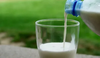 Crnogorski mljekari i konkurencija iz regiona: &ldquo;Caruje&rdquo; uvozni jogurt