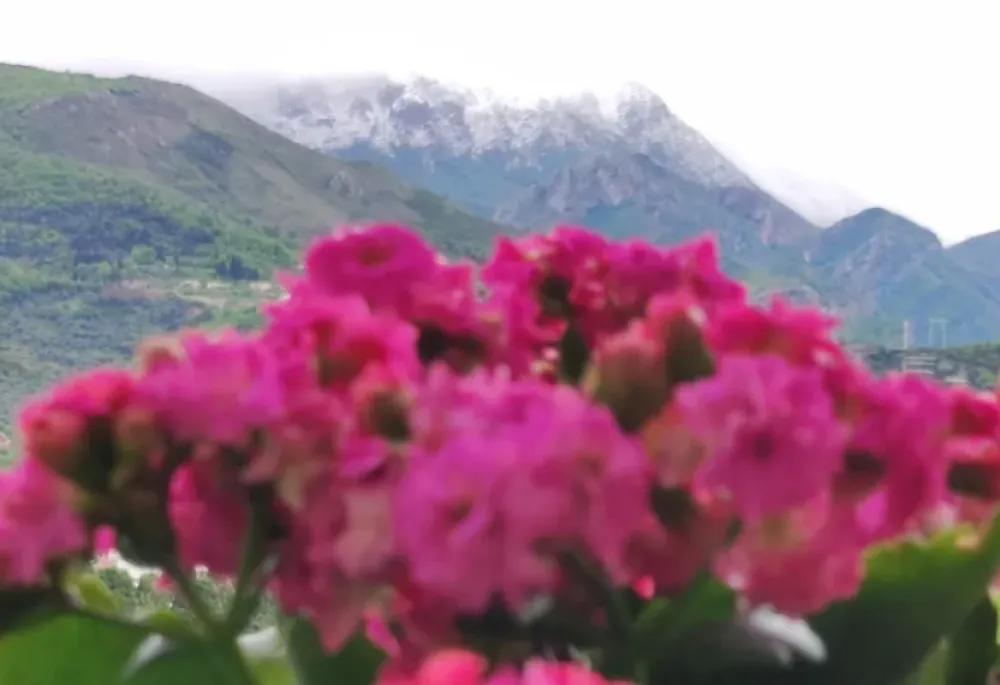 Vrhovi Rumije pod snijegom