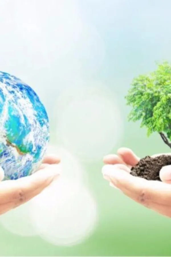 Dan planete, ilustracija