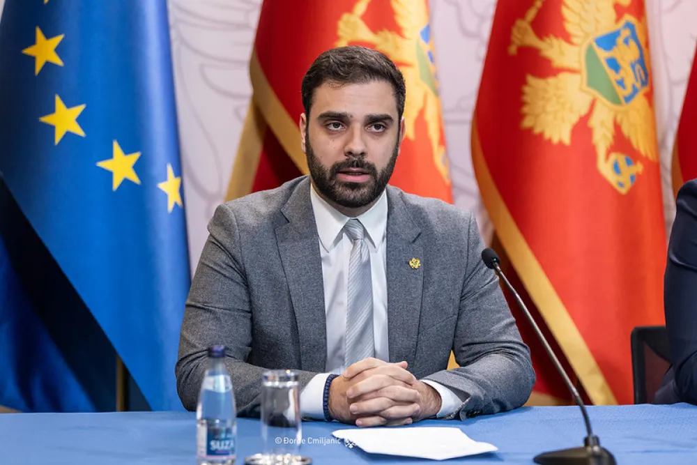Radulović: Luci Kotor ekskluzivno pravo za pilotažu u kotorskom akvatorijumu