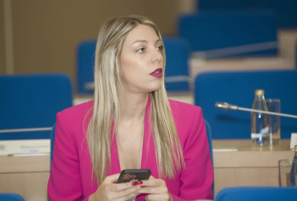 sjednica skupstine glavnog grada