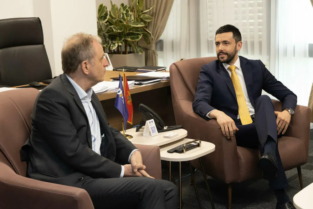 Reintjes i Živković