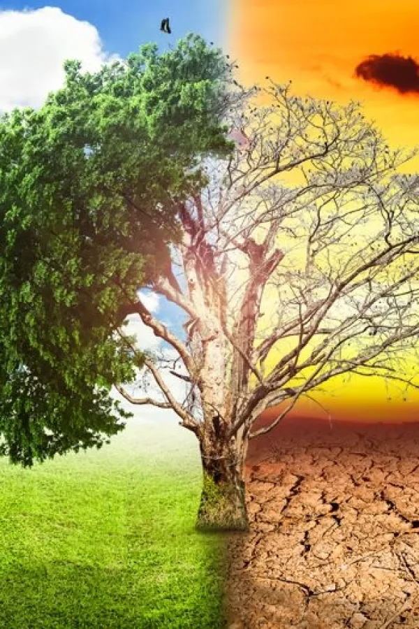 NVO: Potrebno mnogo vi&scaron;e kredibilnih informacija o posljedicama klimatskih promjena