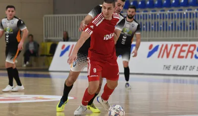 &Scaron;ampion bez gre&scaron;ke