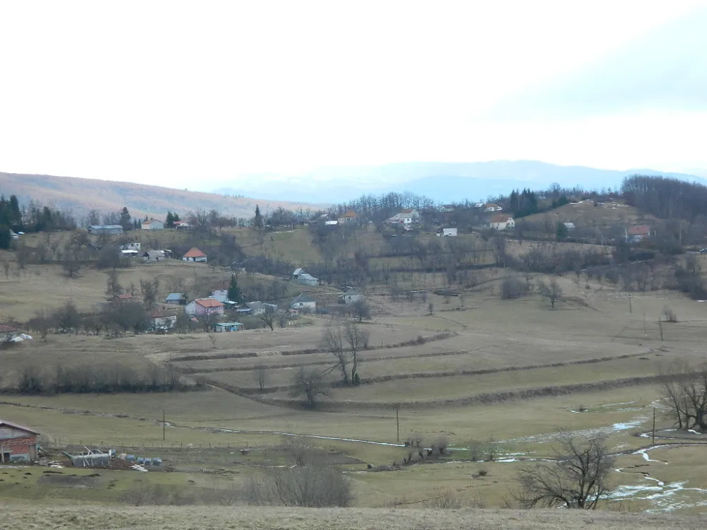 Raste broј obrađenih njiva na beranskoј žitnici