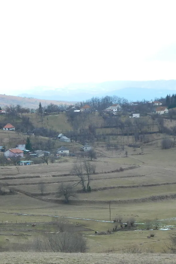 Raste broј obrađenih njiva na beranskoј žitnici