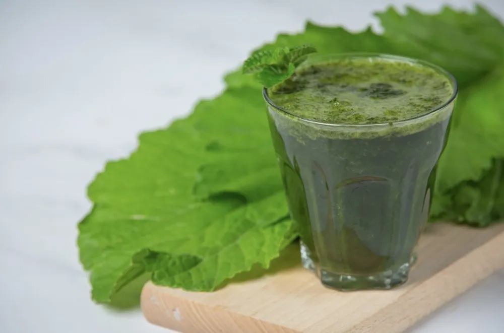 Sok od koprive vitaminska bomba