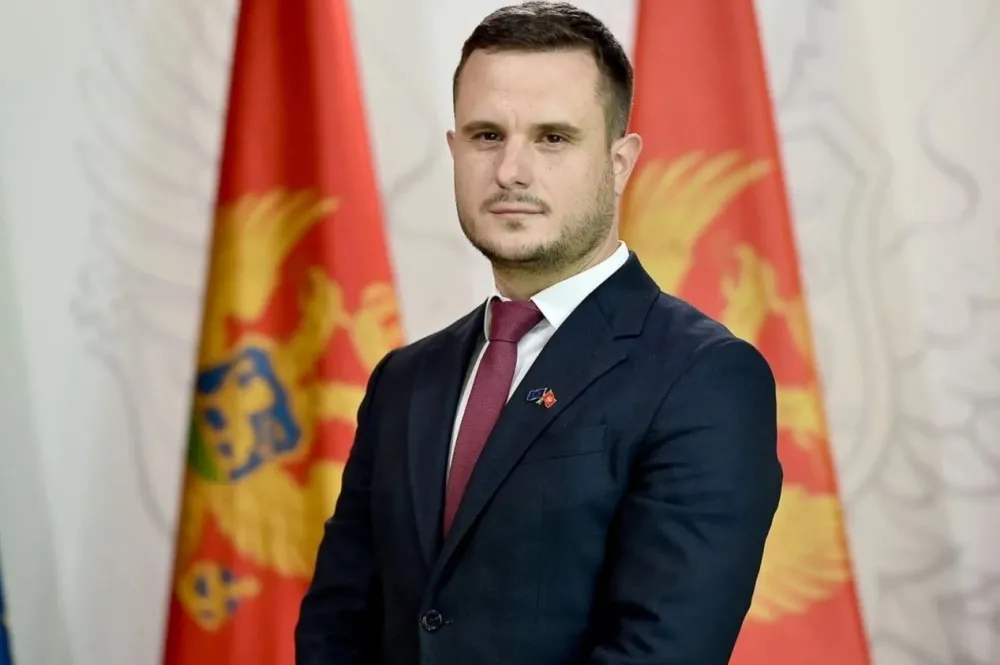 Zenović: Pravi momenat za veliki korak ka EU