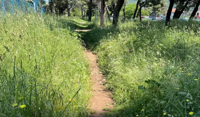 (VIDEO) Umјesto parka savana na Murtovini