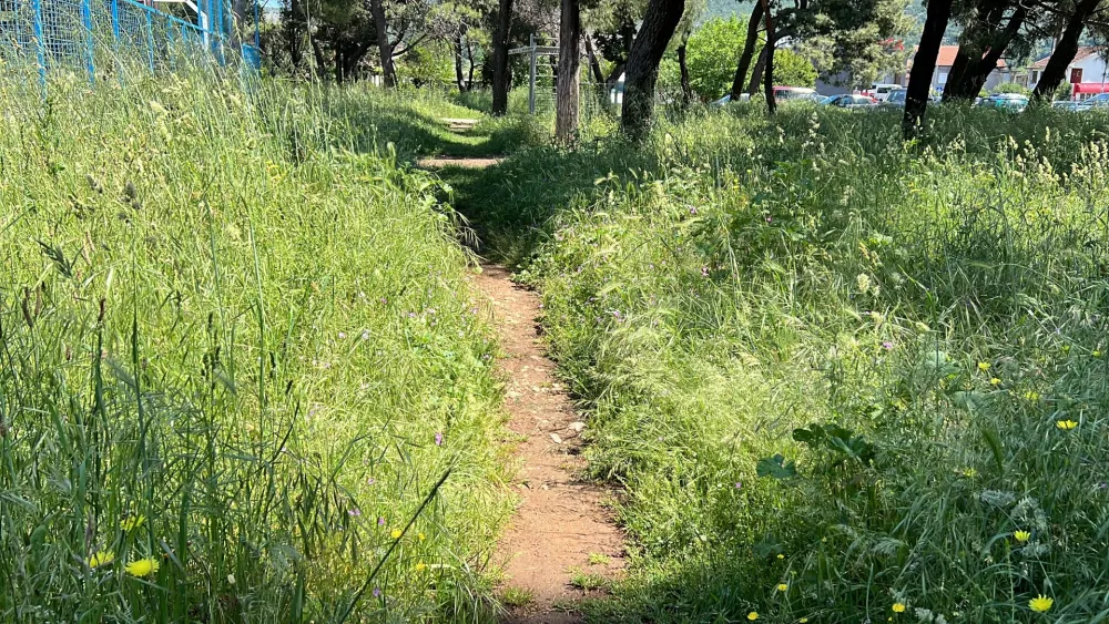 (VIDEO) Umјesto parka savana na Murtovini
