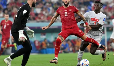 Nemanja Gudelj
