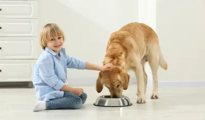 Za&scaron;to je dobro da djeca odrastaju sa psima