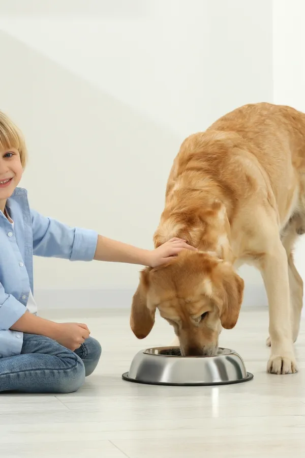 Za&scaron;to je dobro da djeca odrastaju sa psima