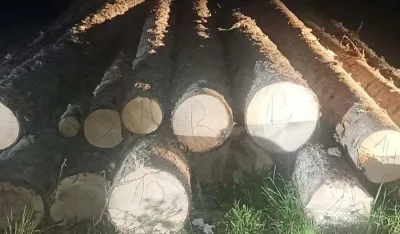 Nova zaplijena bespravne građe u Beranama