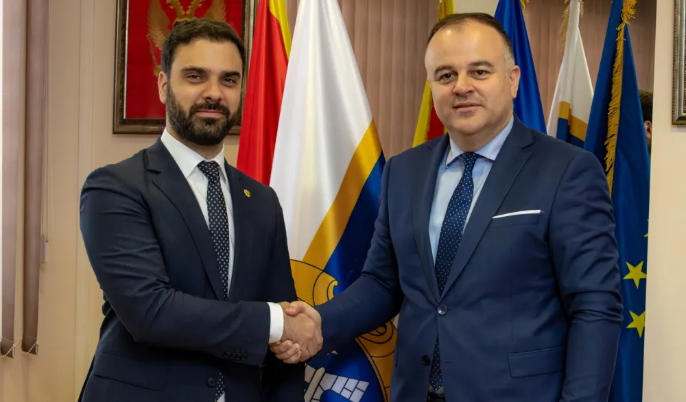 Radulović: Vlada planira obilaznicu oko Novog do 2030. godine