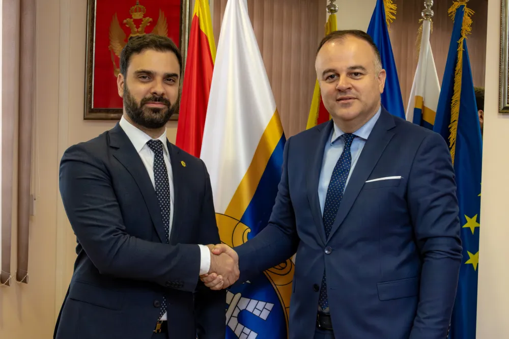 Radulović: Vlada planira obilaznicu oko Novog do 2030. godine