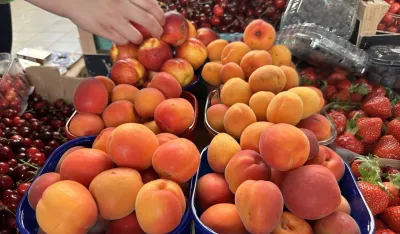 Na zelenoj pijaci u Ginta&scaron;u kilogram nektarina deset eura