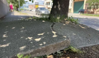 (VIDEO) Korijenje drveća podiglo trotoare u Ulici 8. marta