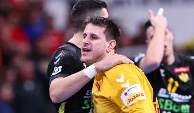 Neboj&scaron;a Simić 