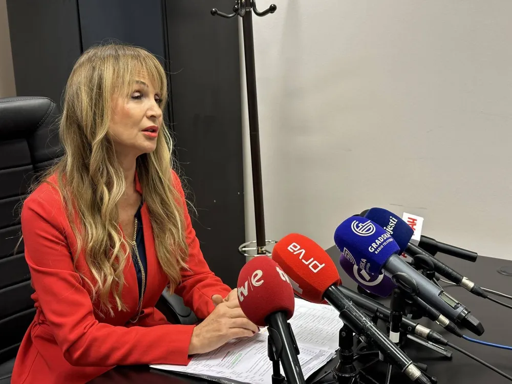 Medojević:&nbsp;Ekonomska nestabilnost najveći problem porodica u Crnoj Gori