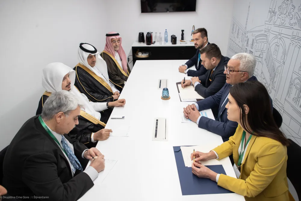 Najavljeno formiranje grupe prijateljstva sa Saudijskom Arabijom
